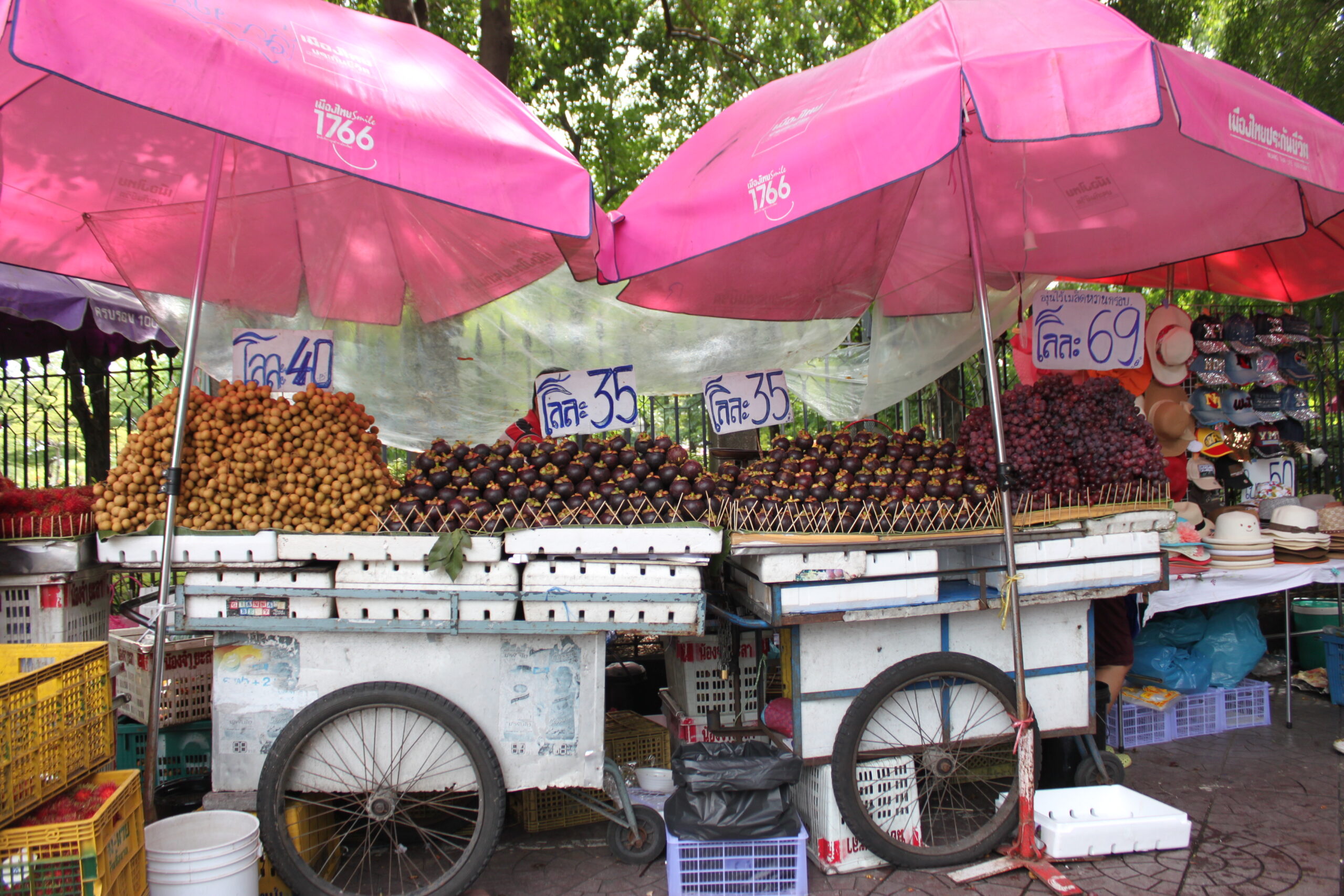 [태국(3)] 짜뚜짝(ตลาดนัดจตุจักร) 주말시장 Chatuchak weekend market